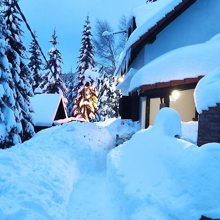 Uki & Sofi Mountain House Hotel Kopaonik Exterior photo