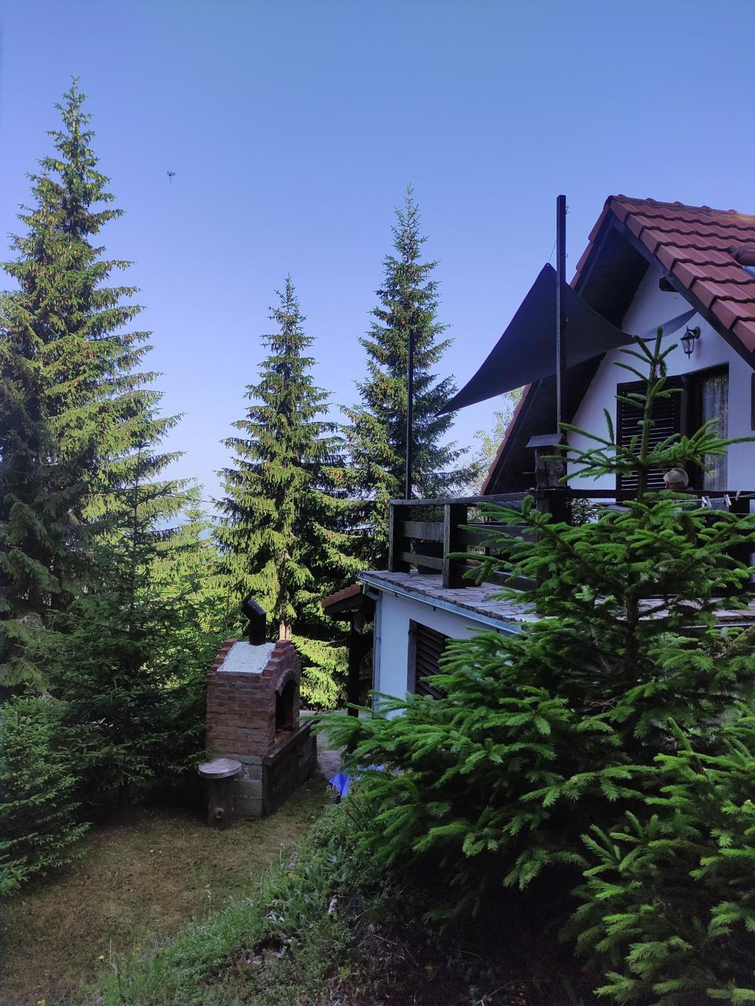 Uki & Sofi Mountain House Hotel Kopaonik Room photo